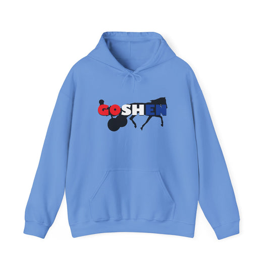 Goshen Unisex Heavy Blend™ Hooded Sweatshirt